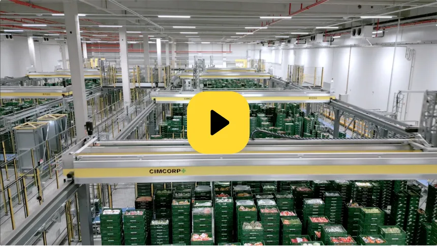 Video Thumbnail Logistik  mobile