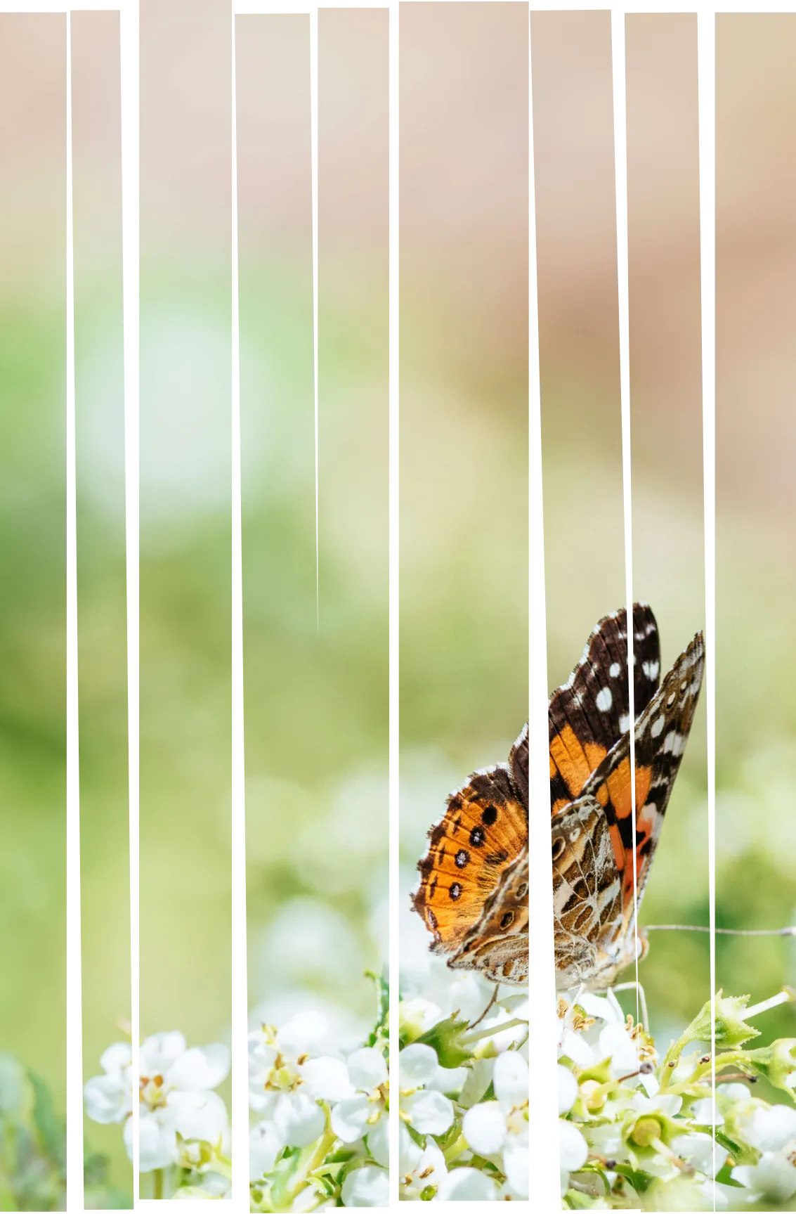 Nachhaltigkeit mobile Opener